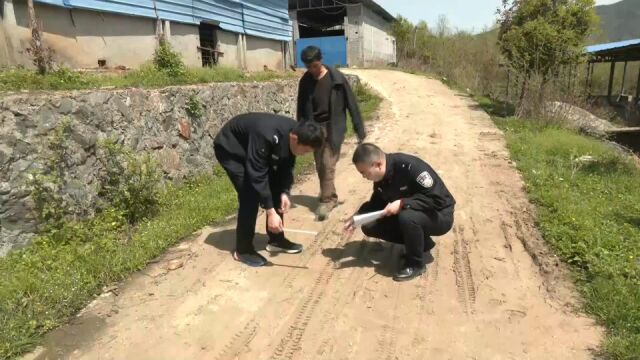 3人团伙偷牛民警靠转账记录破案:涉案金额达到3万余元