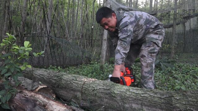 0403买锂电池锯子花898网购一台锂电池锯,开箱试用了一下,瞬间感觉赚大了