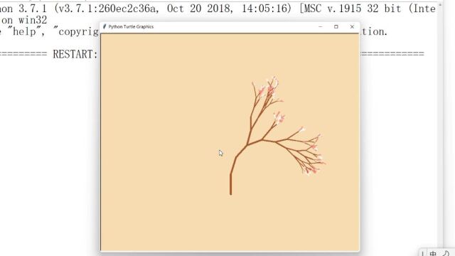 Python—樱花烂漫