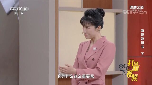 下肢深静脉在哪里,为什么如此重要?来听专家的解答