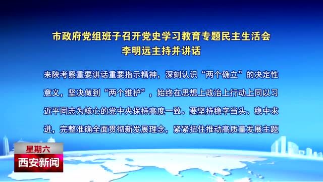 市政府党组班子召开党史学习教育专题民主生活会 李明远主持并讲话