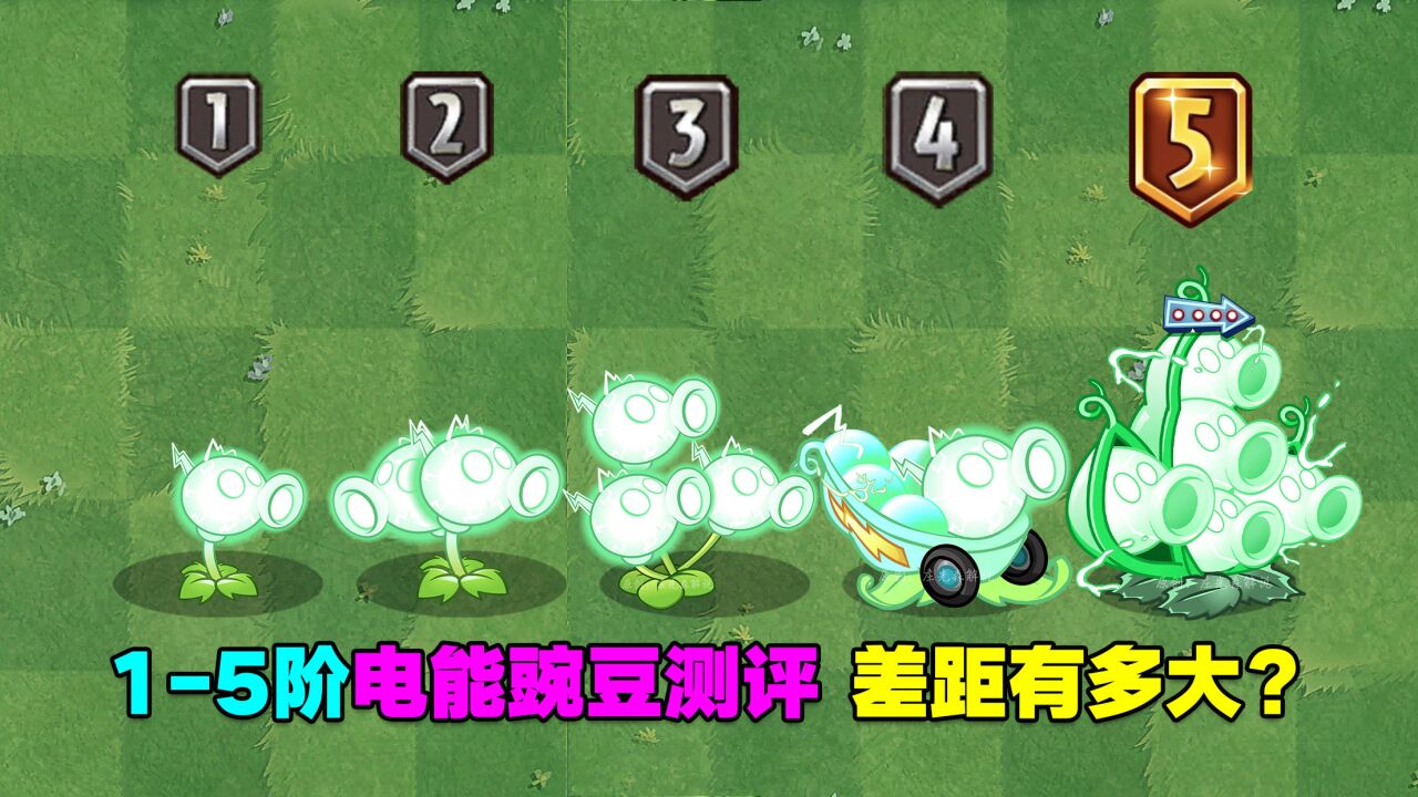 1-5階電能豌豆測評:1-4階超級刮痧!5階磁場小質變