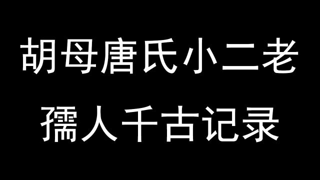 胡母唐氏小二老孺人千古记录