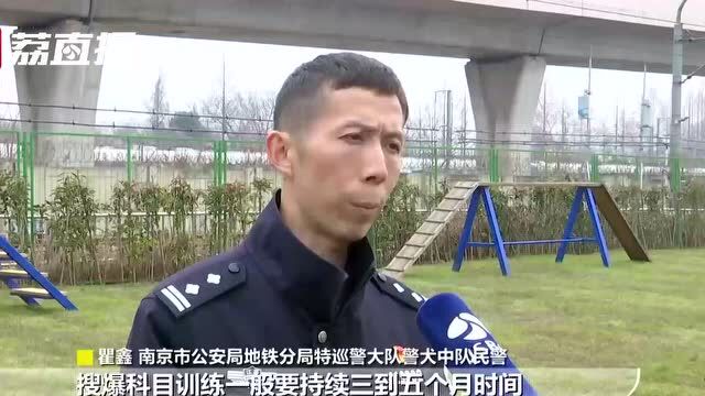 警犬的一生