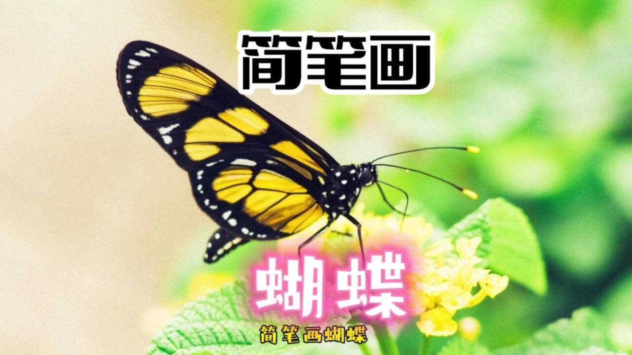 簡筆畫:蝴蝶,6個3畫出漂亮蝴蝶,很簡單的!馬克筆塗色