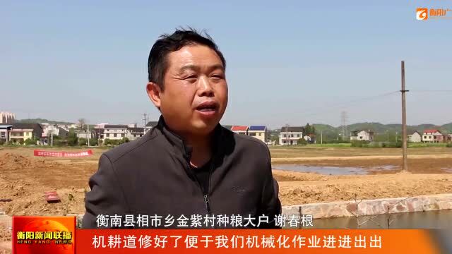 衡南:高标准农田建设 为乡村振兴蓄势赋能