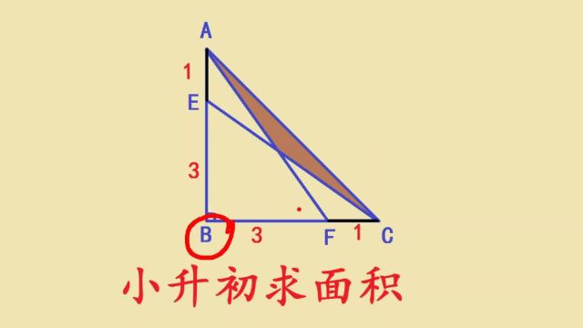 上海市某中学小升初分班题,求面积,全班仅5人答对