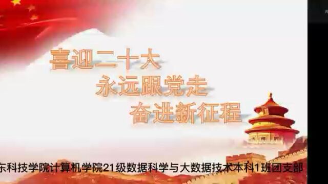 【喜迎二十大 永远跟党走 奋进新征程】主题团日线上会议1