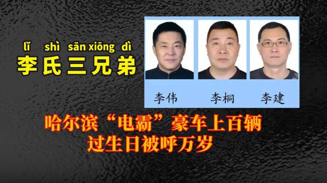 哈尔滨李氏三兄弟覆灭记,豪车百辆非法获利36亿,真实改编电影