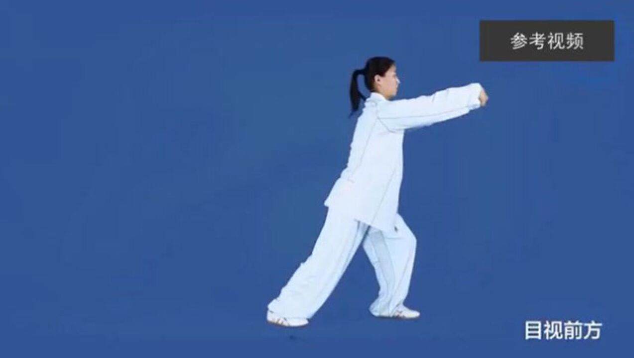 国家体育总局五禽戏分解教学_高清
