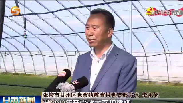 张掖:党建引领促发展 产业振兴强基础