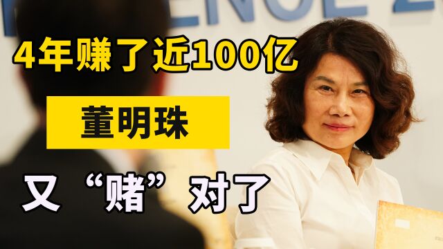 还说董明珠没眼光?投资芯片公司4年赚100亿,跟比亚迪“抢”生意