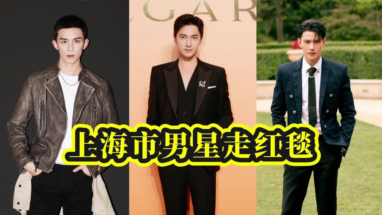 上海市男星走红毯,徐正溪行走的大佬,杨洋聚光灯下的白马王子