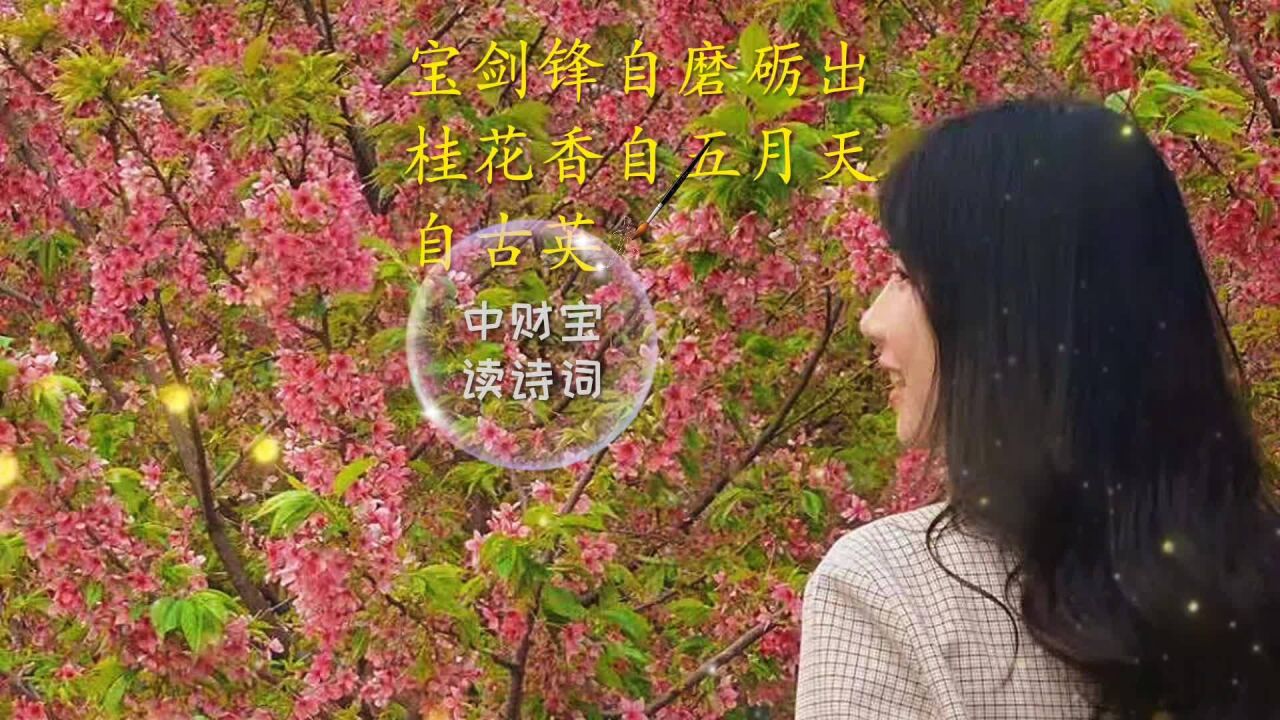 以梦为马不负韶华