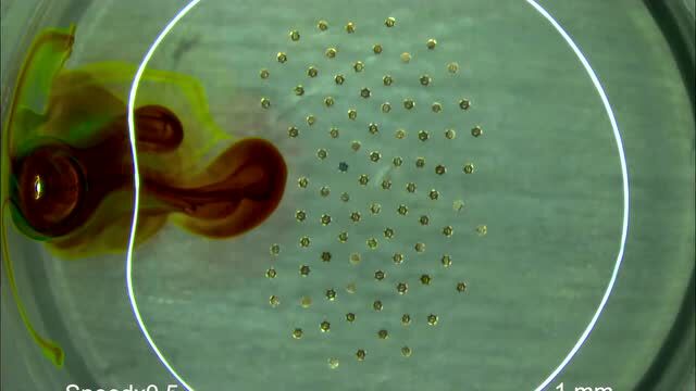 随机驱动化学系统中的自发手性对称性破缺 | 复杂性科学顶刊精选6篇