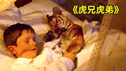 催泪系：男孩捡了一只特别的猫，不料竟是森林之王，结局很舒服！