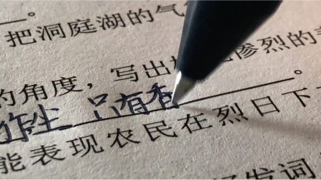 《语文》古诗第二轮复习