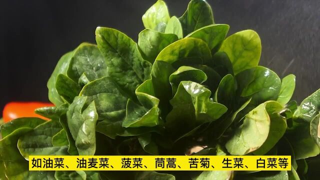 高血压适合吃的4样蔬菜