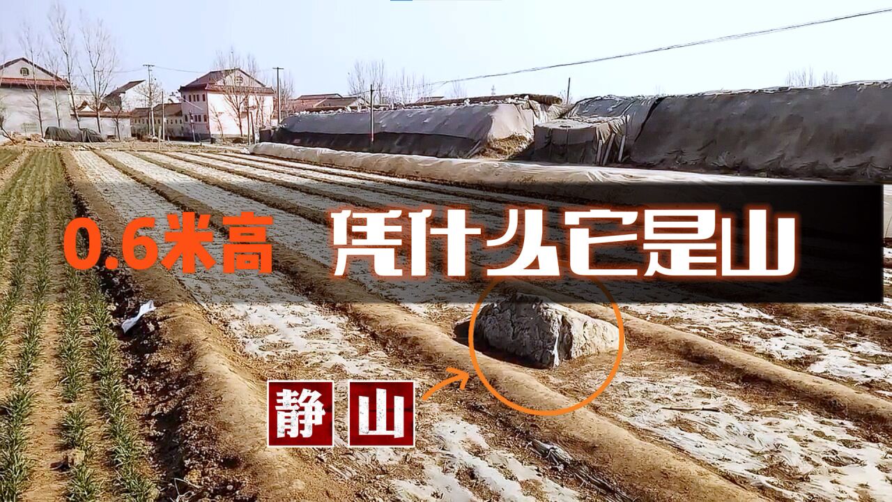 静山(寿光市静山)_搜狗百科