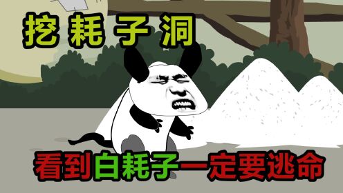 [图]抓到奇怪的白老鼠，一定要放生