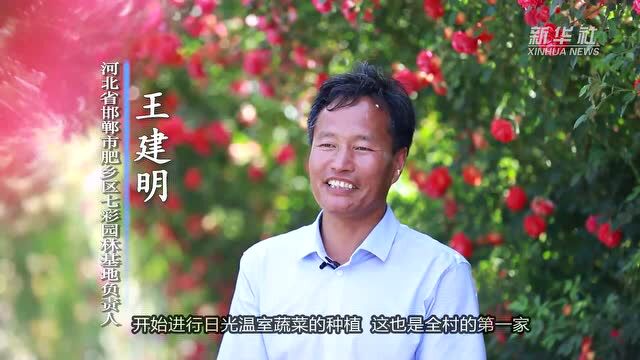 “花农”花中淘金 闯出乡村振兴路