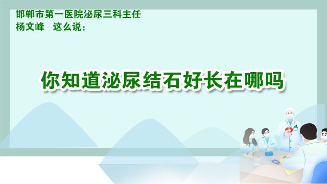 你知道泌尿结石好长在哪儿吗?