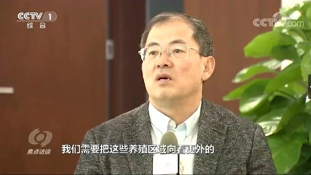 《焦点访谈》聚焦宁德“海上田园”!霞浦这些地方出镜