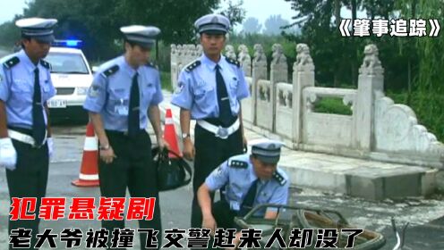 老大爷被撞飞后失踪,再发现时已经晚了,女警一幅画像破案,悬疑片