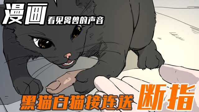 黑猫白猫接连送断指,背后隐藏着什么阴谋?#漫画#漫画解说#漫画推荐