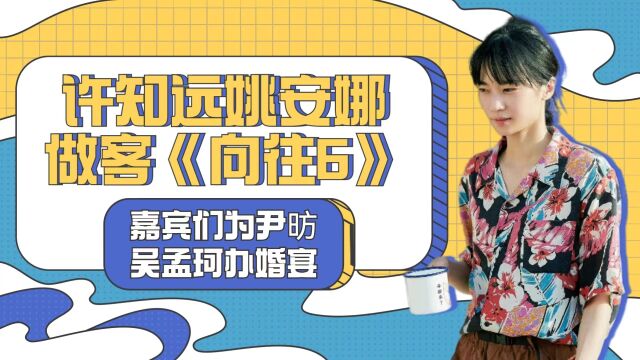 许知远姚安娜做客《向往6》,嘉宾们为尹昉吴孟珂办婚宴?