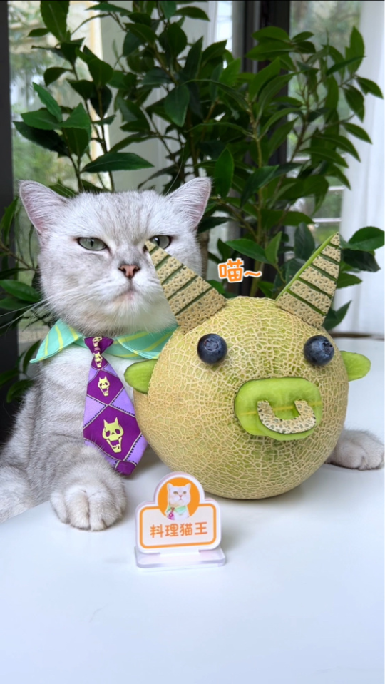 5万人订阅料理猫王2022年6月9日发布一起吐槽吧恢复默认设置弹幕设置