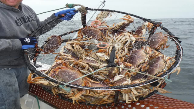 国外远洋海捕船,阿拉斯加海域捕捞珍宝蟹,日捕捞都是十几万起步