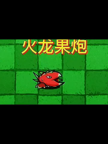 植物大战僵尸 火龙果炮