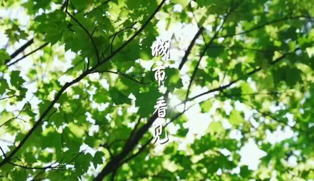 唐山:城市ⷧœ‹见ⷥ’Œ谐ⷦ𘩦š–