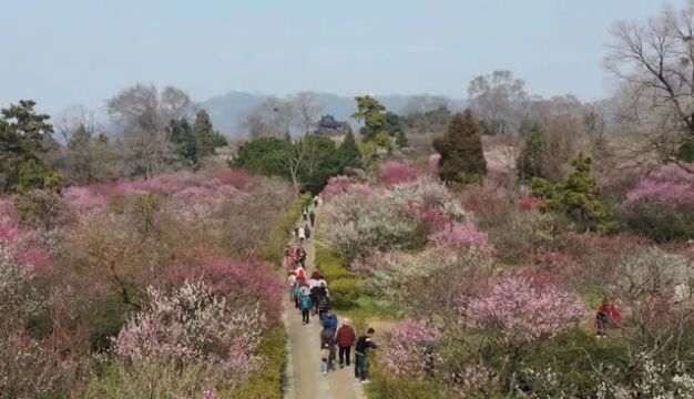 农参专访周曙东:农业品牌建设的的前瞻性观点——乡村振兴、元宇宙和NFT数字藏品