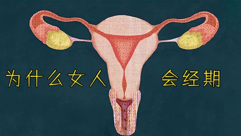 女人为什么会来月经？是生物进化的本能，还是特有的自保机制！