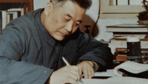 “两弹元勋”邓稼先