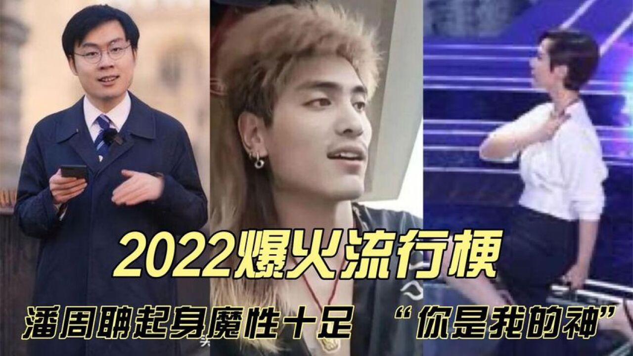 2022爆火网络热梗"我是云南的,杨迪:让你模仿,没让你超越