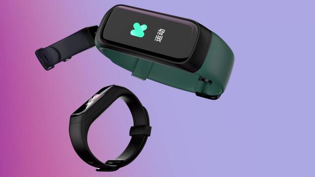 老虎——keep b2运动手环