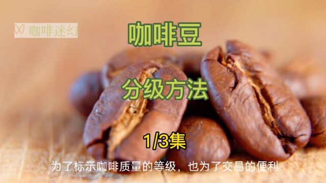 咖啡豆的分级方法1/3集