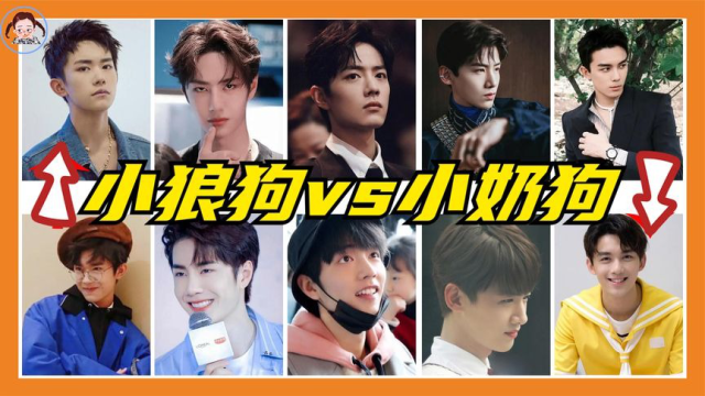 有种惊艳叫明星换风格,小狼狗vs小奶狗无缝切换,你最爱谁?