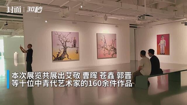 30秒 | 160余件艺术作品 重庆两江新区当代艺术展开展