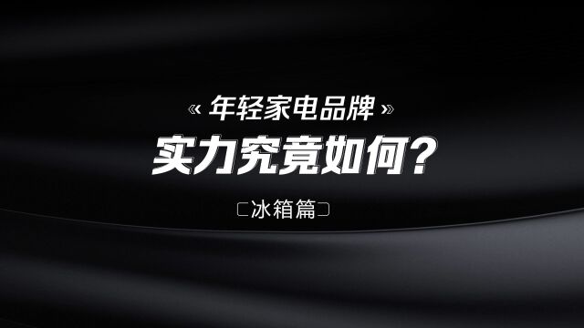 两门冰箱真机对比:可自由嵌入、多台拼合的冰箱见过么?