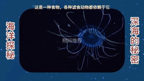 深不可测的海洋里，无穷无尽的海洋生物，有着他们生活法则