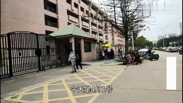 广东东莞:东莞工厂有人介绍了60人进电子厂,介绍奖金很可观