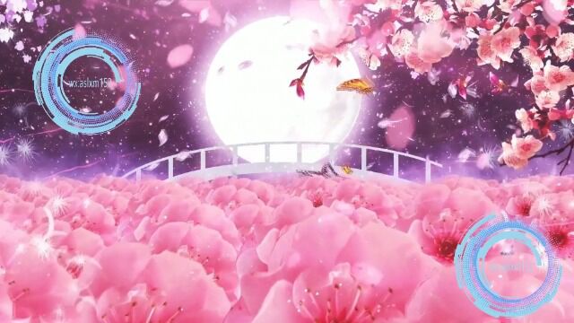 桃花笑 舞台背景 led 高清