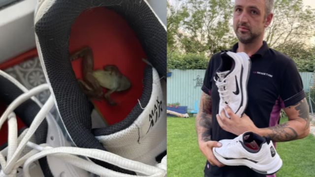 青蛙爬进男子运动鞋后离奇死亡,妻子得出结论:被脚气给熏死的!