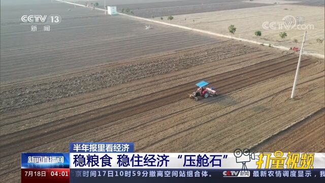 半年报里看经济!稳粮食,稳住经济“压舱石”