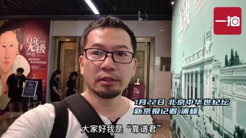 视频｜凡·高、毕加索等46位艺术大师作品亮相中华世纪坛