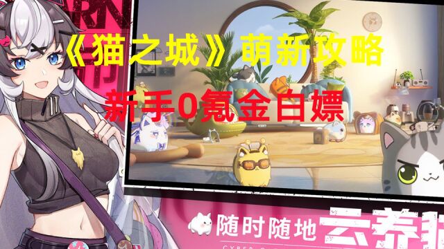 《猫之城》【新手必看】萌新最全搬砖攻略 保姆级最全公测活动攻略